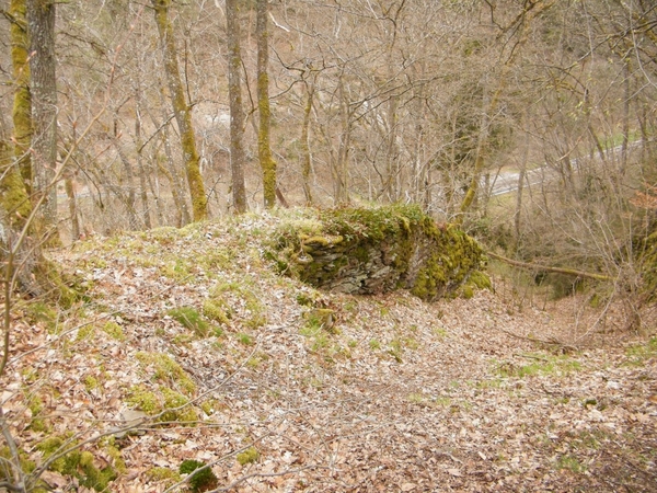 intersoc kastellaun wandelvakantie duitsland reisduiveltje