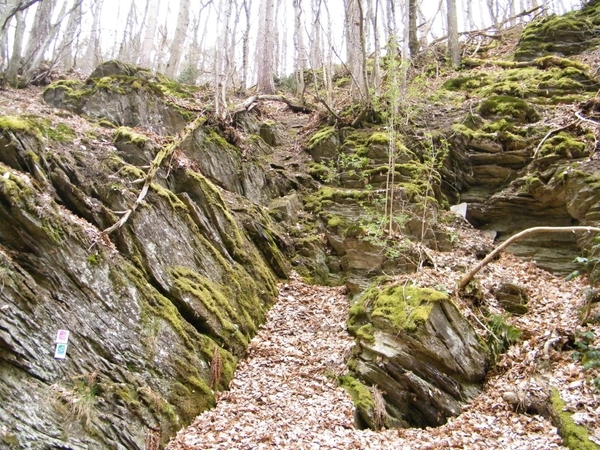 intersoc kastellaun wandelvakantie duitsland reisduiveltje