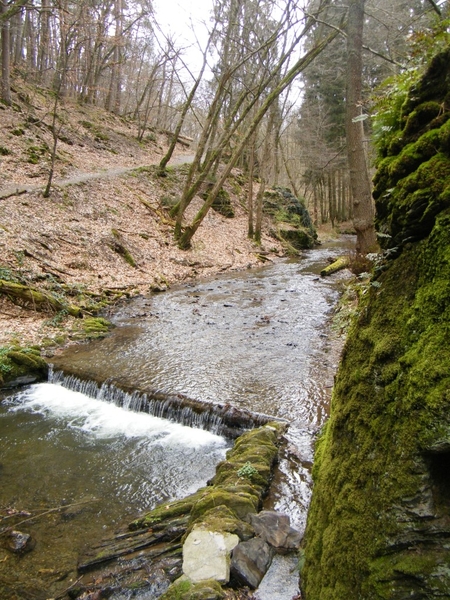 intersoc kastellaun wandelvakantie duitsland reisduiveltje