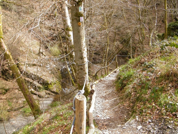 intersoc kastellaun wandelvakantie duitsland reisduiveltje