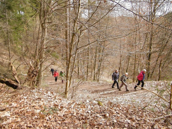 intersoc kastellaun wandelvakantie duitsland reisduiveltje