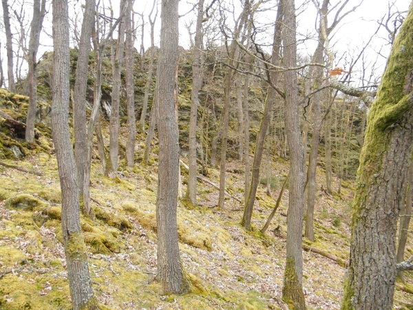 intersoc kastellaun wandelvakantie duitsland reisduiveltje