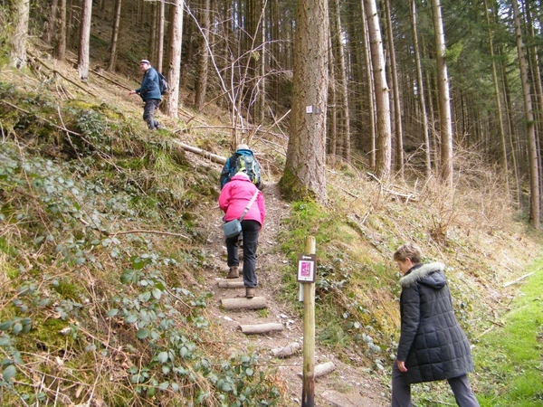 intersoc kastellaun wandelvakantie duitsland reisduiveltje