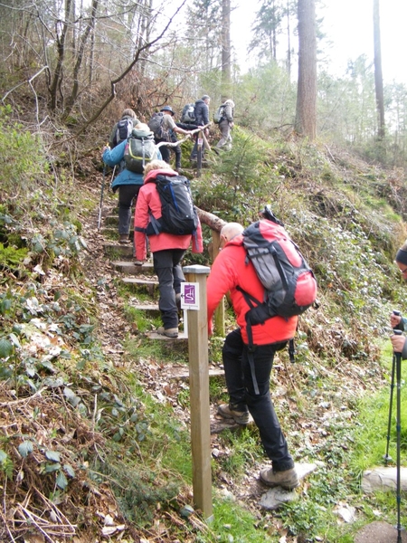 intersoc kastellaun wandelvakantie duitsland reisduiveltje