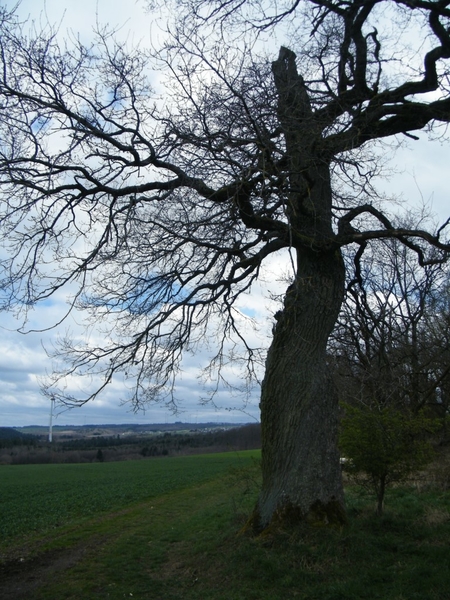 intersoc kastellaun wandelvakantie duitsland reisduiveltje