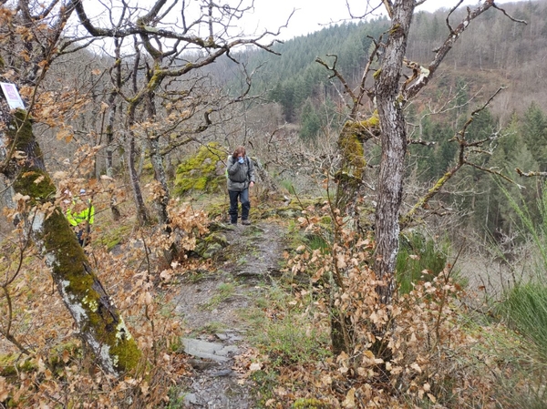 intersoc kastellaun wandelvakantie duitsland reisduiveltje