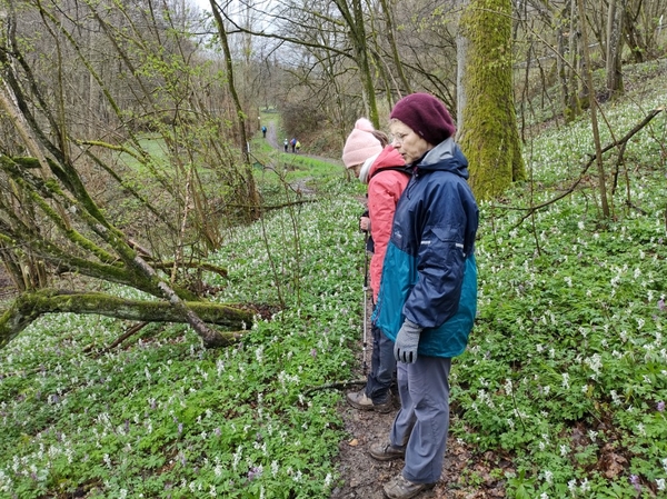 intersoc kastellaun wandelvakantie duitsland reisduiveltje