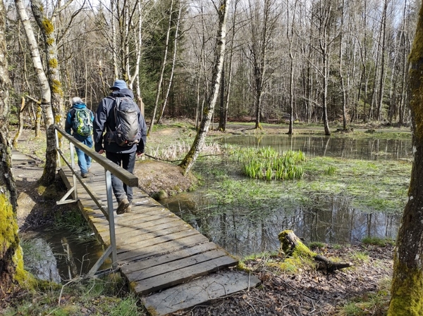 intersoc kastellaun wandelvakantie duitsland reisduiveltje