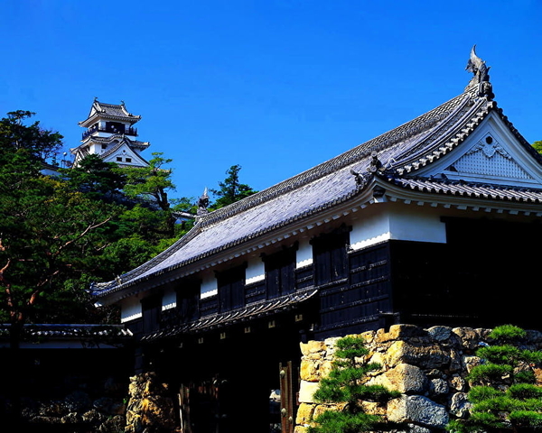 kochi-kasteel-japanse-architectuur-chinese-achtergrond
