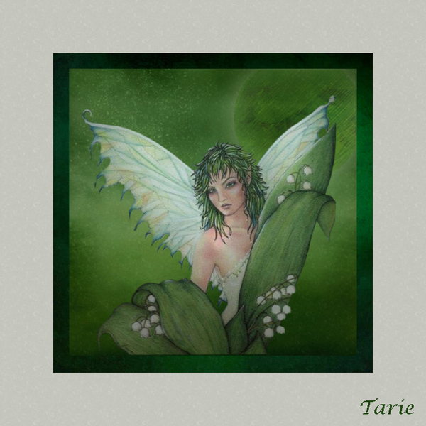 tarie