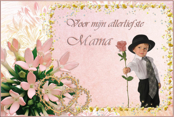 Trezemieke-1