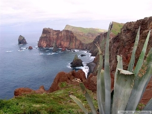 Portugal 17 Madeira (Small)