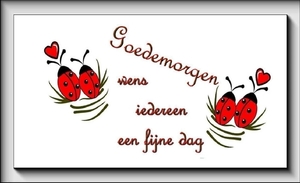 Goedemorgen