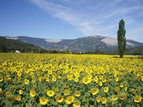 Rhône en Alpen 21 (Medium)
