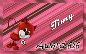 awardvoor timy 11 sept