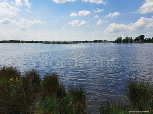 20220704_150147©