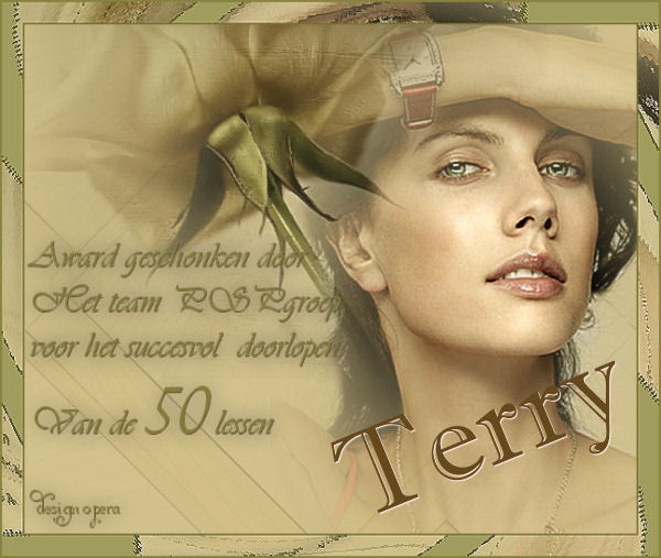 terry's award 50 lessen