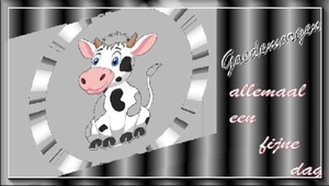 Goedemorgen-555