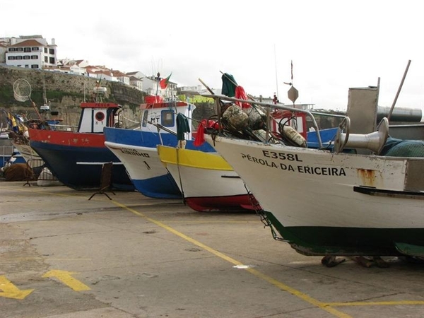 Portugal 317 Ericeira (Medium)