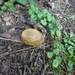 DSC00163