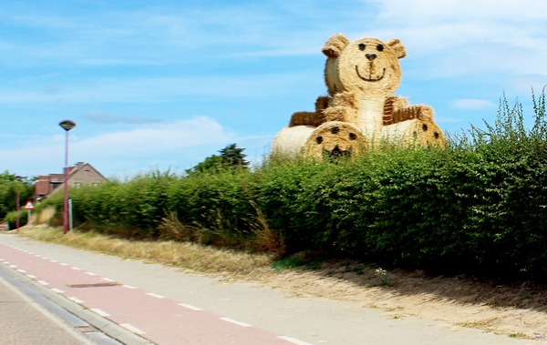 113_21-08_onderweg_Blijheid-van-Tongeren_IMG_8415