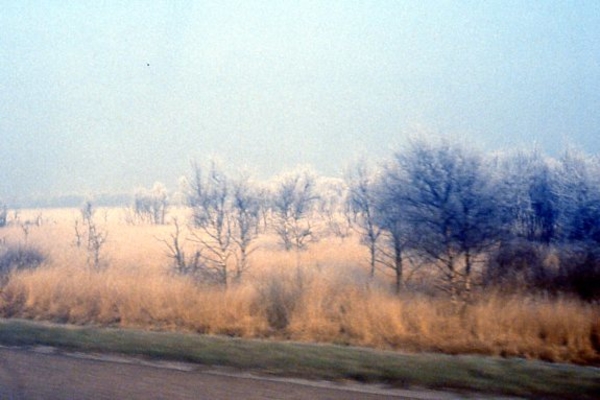 Winter in Limburg