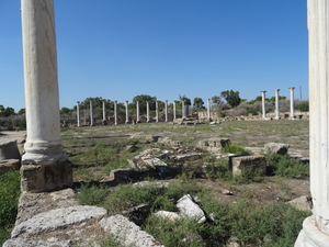 3F Salamis site DSC00113