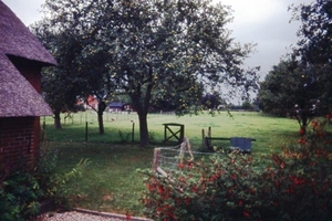 Rondom het huis