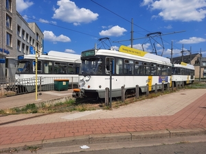 7131 29 juli in Antwerpen