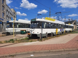 7131 29 juli in Antwerpen