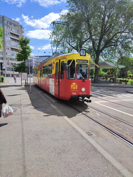 104  Roemenië, Nog steeds een grote verscheidenheid aan tweedeha