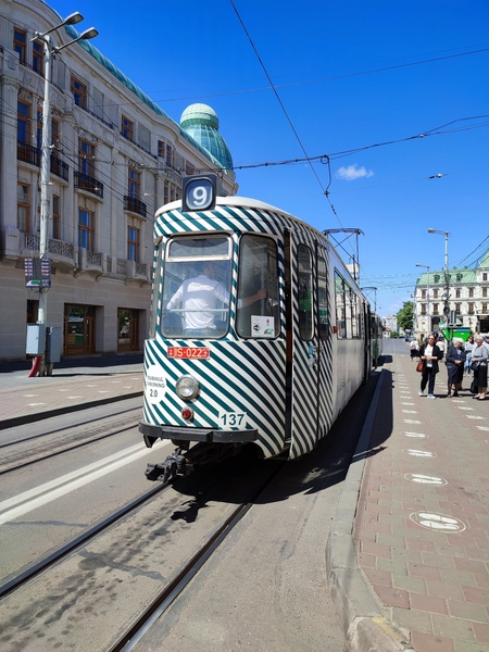 137  Roemenië, Nog steeds een grote verscheidenheid aan tweedeha