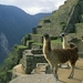 Peru 19 Machu Picchu (Small)