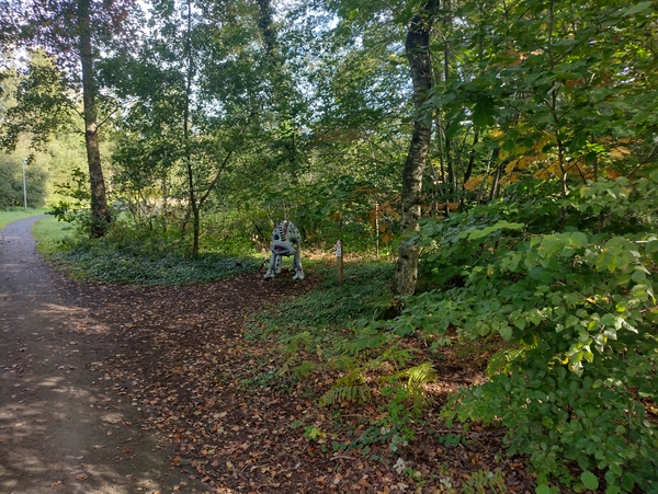 IMG_20221010_110742258_HDR