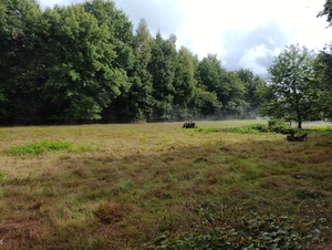 IMG_20220927_133314025