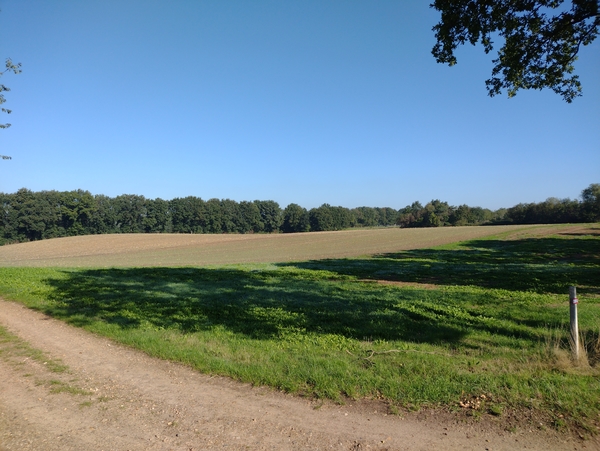 IMG_20220921_102323441