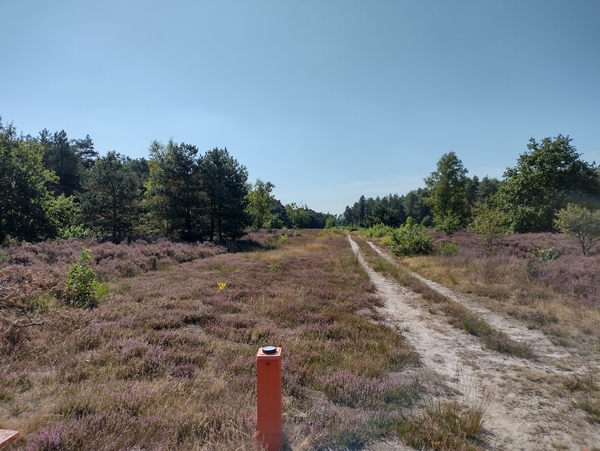 IMG_20220901_114326424_HDR