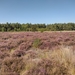 IMG_20220901_114459191_HDR