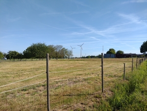 IMG_20220718_093007659