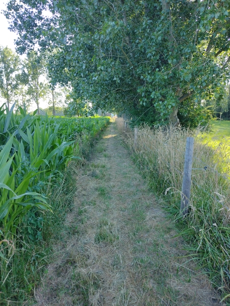 IMG_20220717_082531650