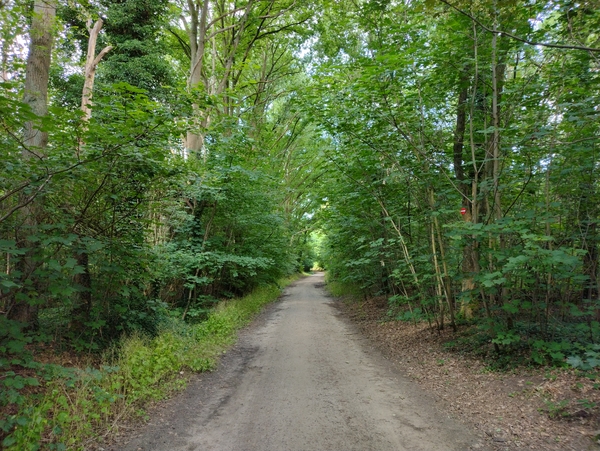 IMG_20220703_095130363