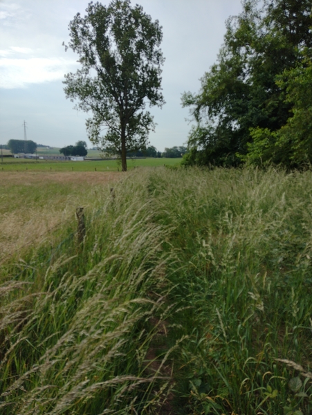 IMG_20220604_092827234