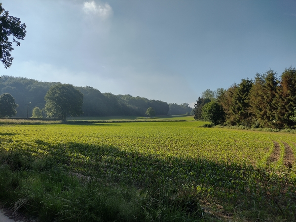 IMG_20220602_084432169_HDR