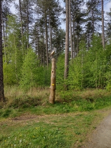 IMG_20220508_090525428_HDR