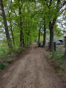 IMG_20220505_090132870_HDR
