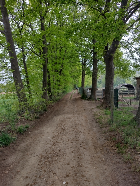 IMG_20220505_090132870_HDR