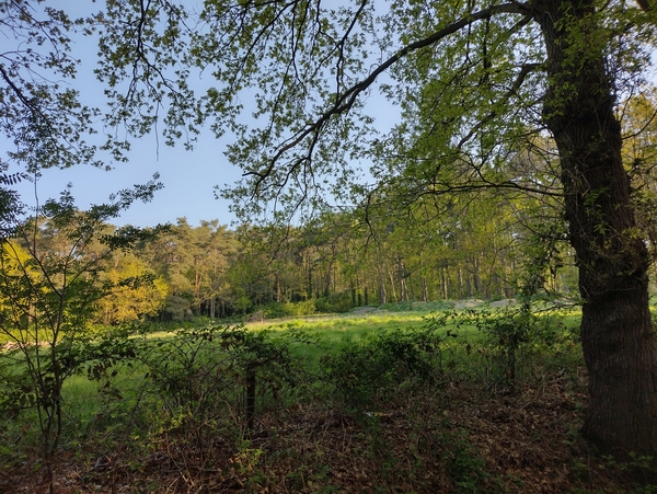 IMG_20220428_084222144_HDR