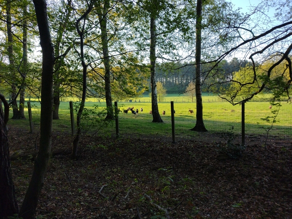 IMG_20220424_075918998