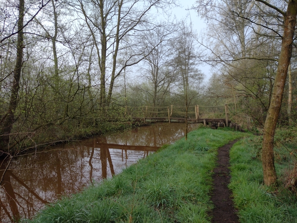 IMG_20220414_092334962