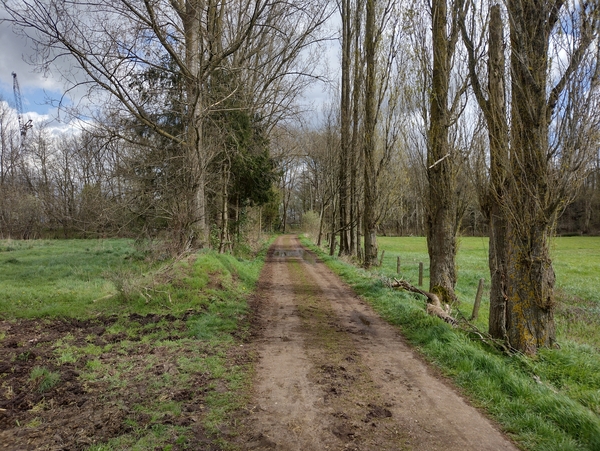 IMG_20220407_134508831_HDR